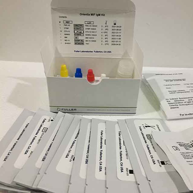 恙虫病抗体检测试剂盒