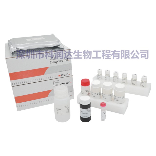 人白介素高敏试剂盒（IL-10）