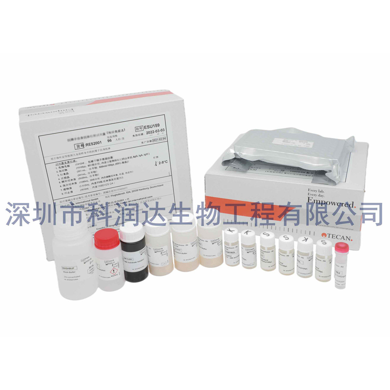 白色念珠菌IgG抗体检测试剂盒